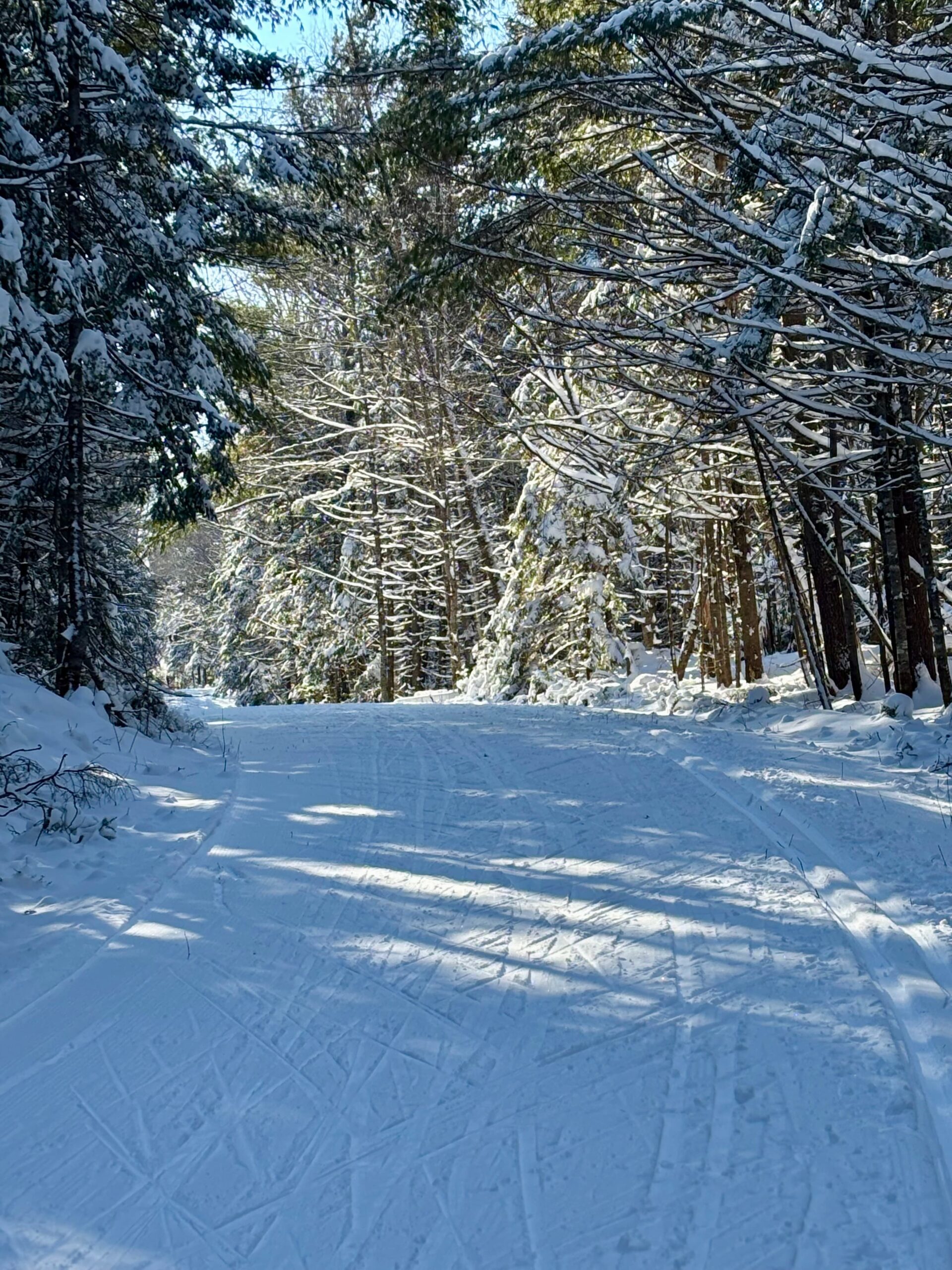 Killarney Trail Blog, December 18-26